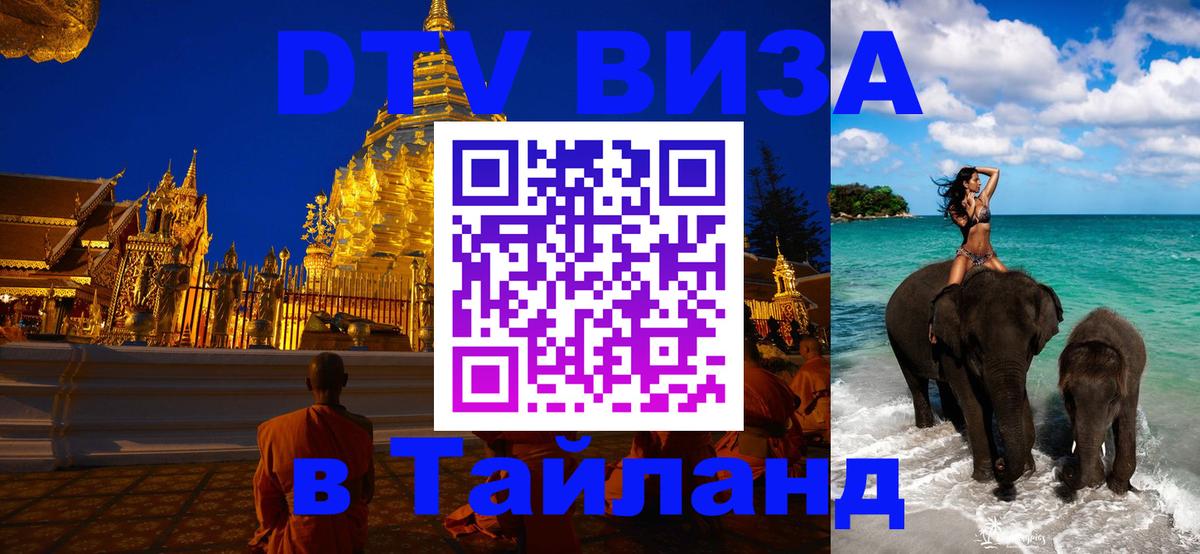 Оформление DTV визы под ключ: стоимость и тарифы, только загранпаспорт - Кишинёв  20.11.2025 